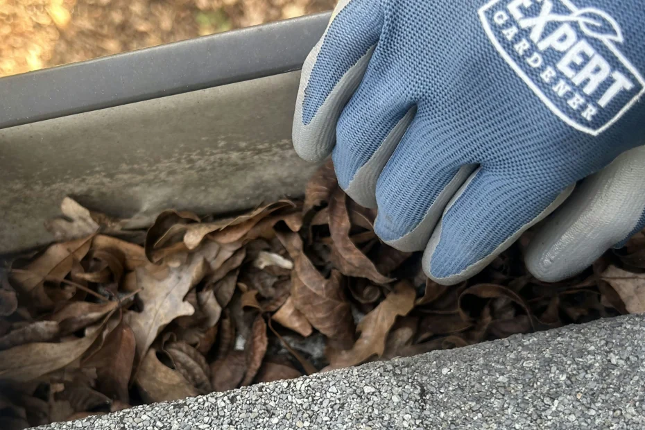 Gutter Cleaning Madison Heights